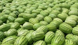 今日吃瓜热门大瓜每日更新